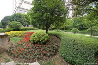 園藝栽培魚(yú)池水景噴泉,植物墻設(shè)計(jì)施工養(yǎng)護(hù),綠植租擺花木租賃養(yǎng)護(hù),園林綠化養(yǎng)護(hù)施工設(shè)計(jì)